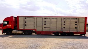 животновоз